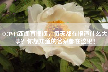 CCTV13新闻直播间，每天都在报道什么大事？你想知道的答案都在这里！