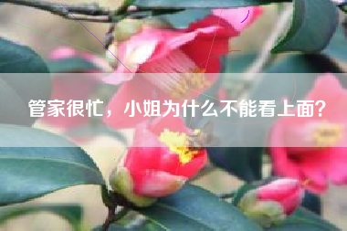 管家很忙，小姐为什么不能看上面？