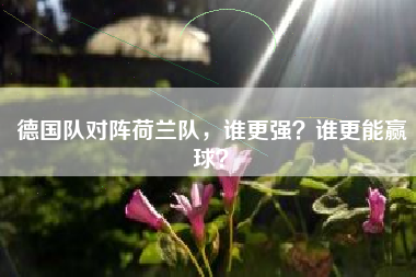 德国队对阵荷兰队，谁更强？谁更能赢球？