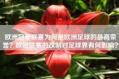 欧洲冠军联赛为何是欧洲足球的最高荣誉？欧冠联赛的改制对足球界有何影响？