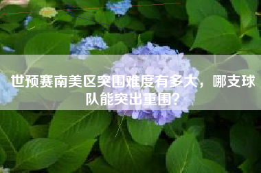 世预赛南美区突围难度有多大，哪支球队能突出重围？