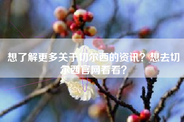 想了解更多关于切尔西的资讯？想去切尔西官网看看？