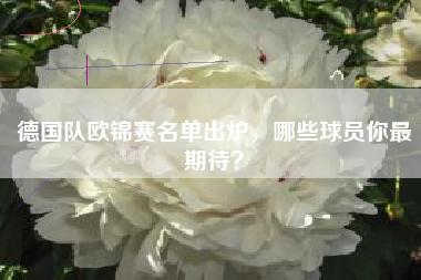 德国队欧锦赛名单出炉，哪些球员你最期待？