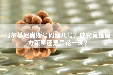 马尔基尼奥斯号码是几号？他究竟是潜力新星还是昙花一现？