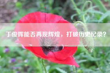 丁俊晖能否再现辉煌，打破历史纪录？