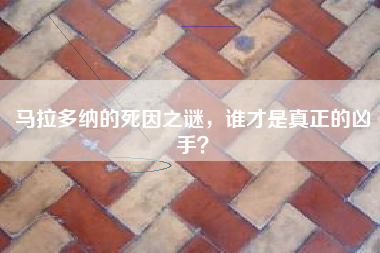 马拉多纳的死因之谜，谁才是真正的凶手？