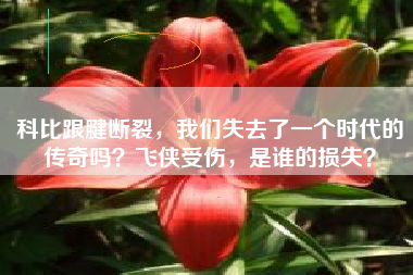 科比跟腱断裂，我们失去了一个时代的传奇吗？飞侠受伤，是谁的损失？