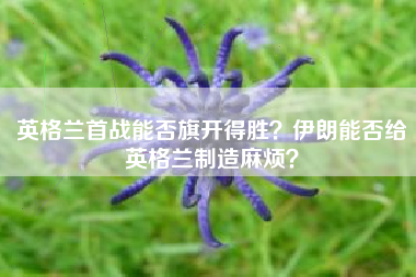 英格兰首战能否旗开得胜？伊朗能否给英格兰制造麻烦？