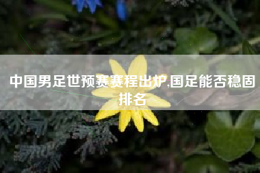 中国男足世预赛赛程出炉,国足能否稳固排名