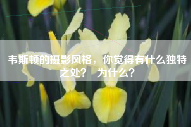 韦斯顿的摄影风格，你觉得有什么独特之处？  为什么？