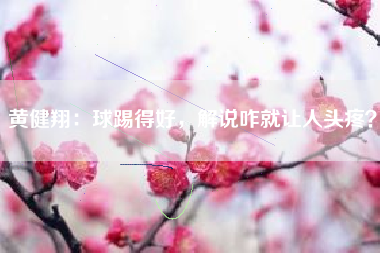 黄健翔：球踢得好，解说咋就让人头疼？