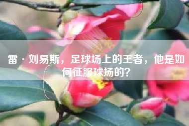雷·刘易斯，足球场上的王者，他是如何征服球场的？
