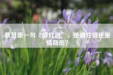 蔡慧康一句“修灯泡”，是真性情还是情商低？