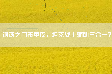 钢铁之门布里茨，坦克战士辅助三合一？