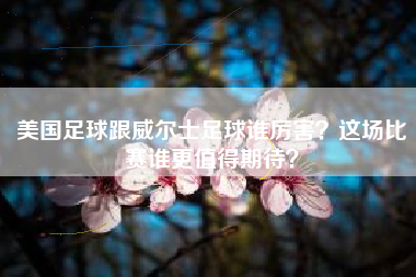 美国足球跟威尔士足球谁厉害？这场比赛谁更值得期待？