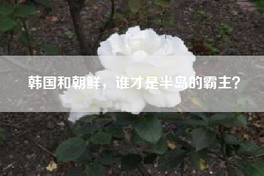 韩国和朝鲜，谁才是半岛的霸主？