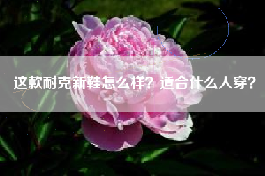 这款耐克新鞋怎么样？适合什么人穿？