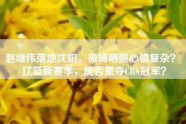 赵继伟落地沈阳，微博晒照心情复杂？ 辽篮新赛季，能否重夺CBA冠军？