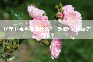 辽宁卫视直播看什么？  想看CBA直播去哪看？