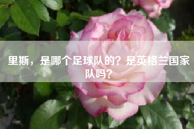 里斯，是哪个足球队的？是英格兰国家队吗？