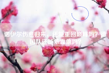 诺伊尔伤愈归来，还能重回巅峰吗？德国队还能依靠他吗？