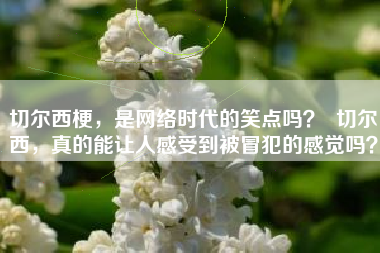 切尔西梗，是网络时代的笑点吗？  切尔西，真的能让人感受到被冒犯的感觉吗？