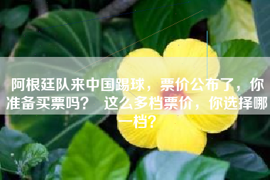 阿根廷队来中国踢球，票价公布了，你准备买票吗？  这么多档票价，你选择哪一档？