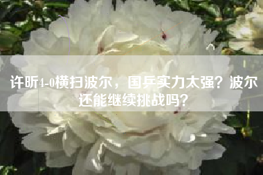 许昕4-0横扫波尔，国乒实力太强？波尔还能继续挑战吗？