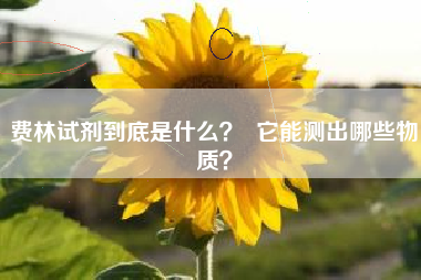 费林试剂到底是什么？  它能测出哪些物质？