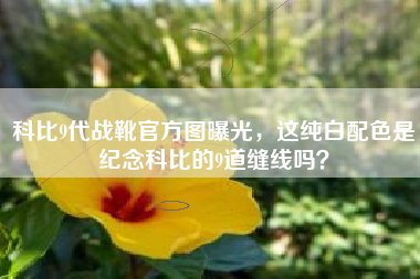 科比9代战靴官方图曝光，这纯白配色是纪念科比的9道缝线吗？