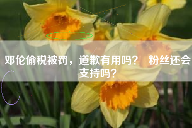 邓伦偷税被罚，道歉有用吗？  粉丝还会支持吗？