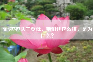 NBA拉拉队工资低，她们还这么拼，是为什么？