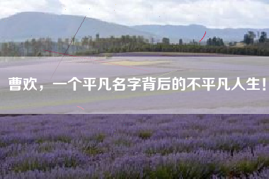 曹欢，一个平凡名字背后的不平凡人生！
