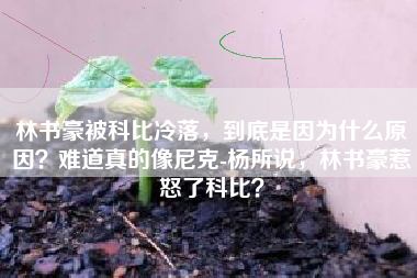 林书豪被科比冷落，到底是因为什么原因？难道真的像尼克-杨所说，林书豪惹怒了科比？