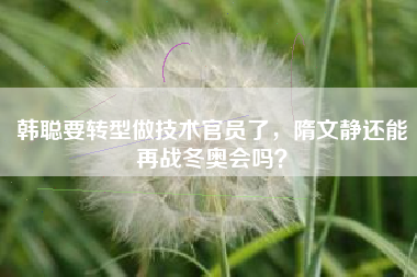 韩聪要转型做技术官员了，隋文静还能再战冬奥会吗？