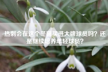热刺会在这个冬窗买进大牌球员吗？还是继续培养年轻球员？