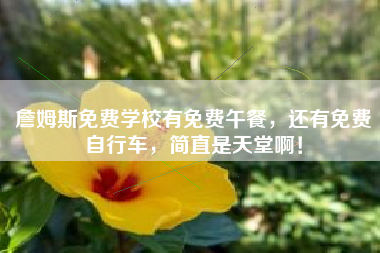 詹姆斯免费学校有免费午餐,还有免费自行车,简直是天堂啊!