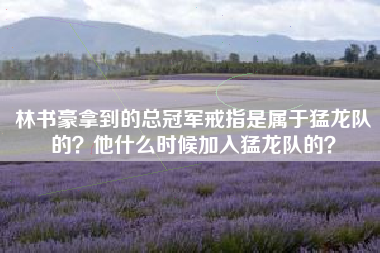 林书豪拿到的总冠军戒指是属于猛龙队的？他什么时候加入猛龙队的？
