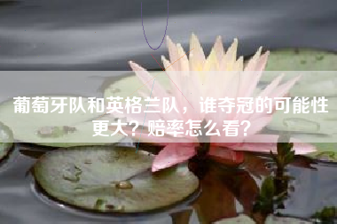 葡萄牙队和英格兰队，谁夺冠的可能性更大？赔率怎么看？