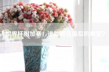 世界杯附加赛，谁能抓住最后的希望？