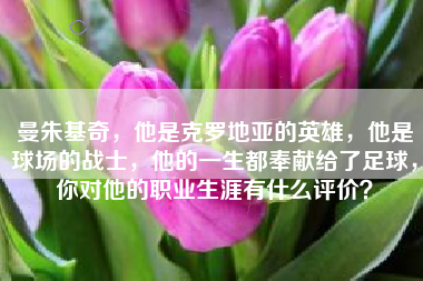 曼朱基奇，他是克罗地亚的英雄，他是球场的战士，他的一生都奉献给了足球，你对他的职业生涯有什么评价？