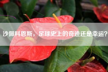 沙佩科恩斯，足球史上的奇迹还是幸运？