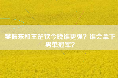 樊振东和王楚钦今晚谁更强？谁会拿下男单冠军？