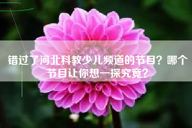 错过了河北科教少儿频道的节目？哪个节目让你想一探究竟？