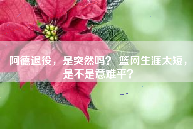阿德退役，是突然吗？ 篮网生涯太短，是不是意难平？