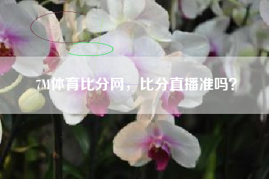 7M体育比分网，比分直播准吗？