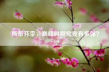 斯蒂芬李，巅峰时期究竟有多强？