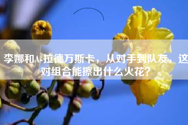 李娜和A-拉德万斯卡，从对手到队友，这对组合能擦出什么火花？