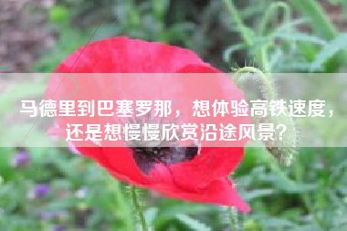 马德里到巴塞罗那，想体验高铁速度，还是想慢慢欣赏沿途风景？