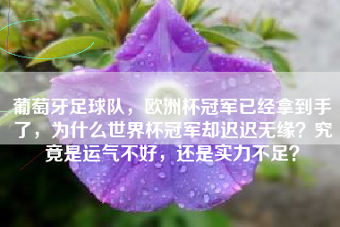 葡萄牙足球队，欧洲杯冠军已经拿到手了，为什么世界杯冠军却迟迟无缘？究竟是运气不好，还是实力不足？